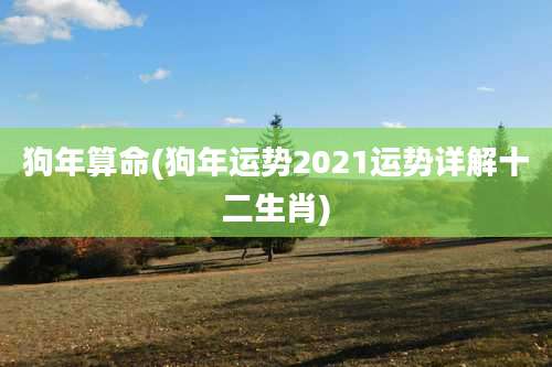 狗年算命(狗年运势2021运势详解十二生肖)