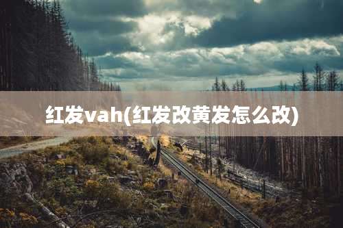 红发vah(红发改黄发怎么改)