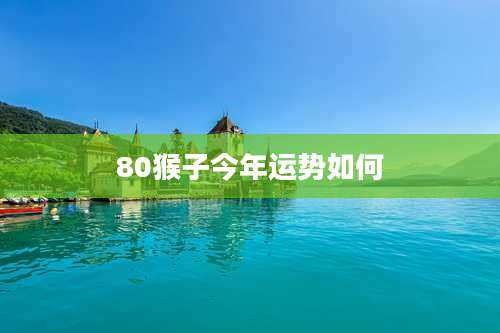 80猴子今年运势如何