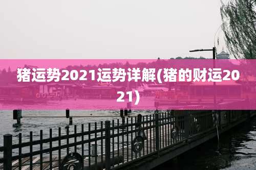 猪运势2021运势详解(猪的财运2021)