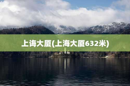 上诲大厦(上海大厦632米)