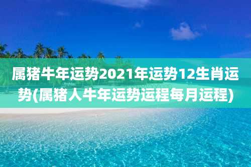 属猪牛年运势2021年运势12生肖运势(属猪人牛年运势运程每月运程)
