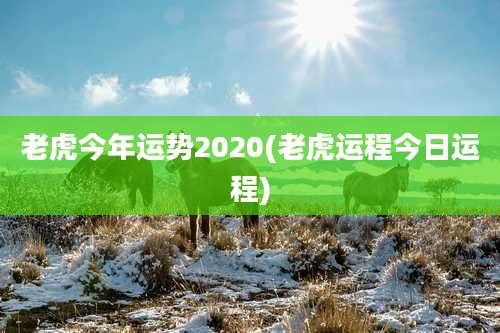 老虎今年运势2020(老虎运程今日运程)
