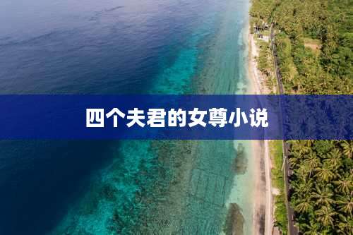 四个夫君的女尊小说