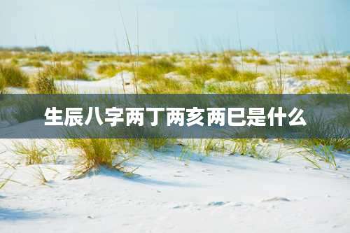 生辰八字两丁两亥两巳是什么