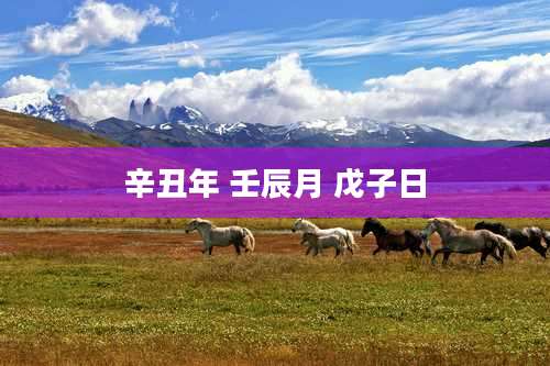 辛丑年 壬辰月 戊子日