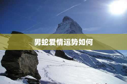 男蛇爱情运势如何