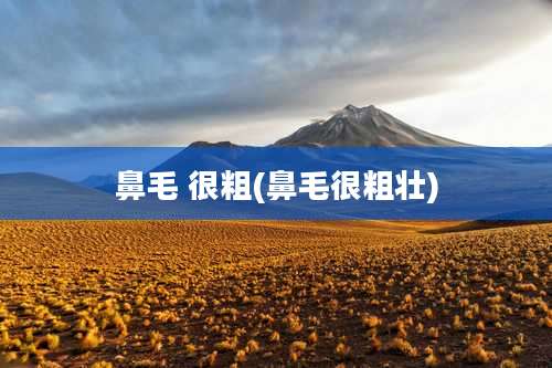 鼻毛 很粗(鼻毛很粗壮)