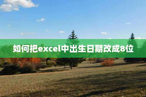 如何把excel中出生日期改成8位