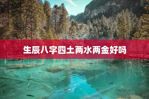 生辰八字四土两水两金好吗