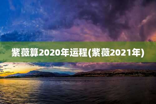 紫薇算2020年运程(紫薇2021年)