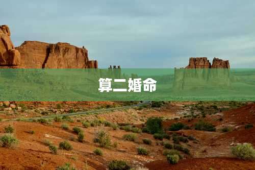 算二婚命