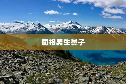 面相男生鼻子