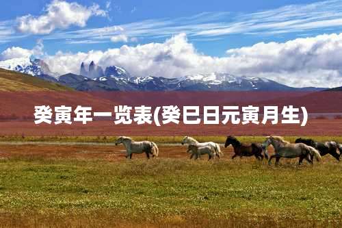 癸寅年一览表(癸巳日元寅月生)