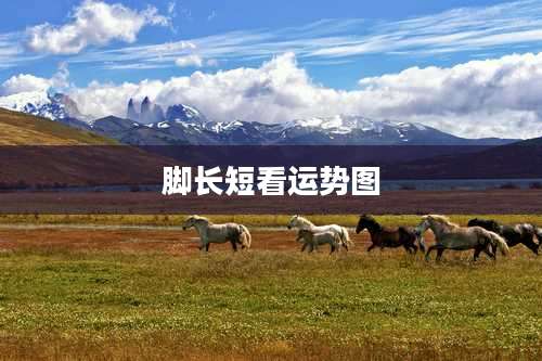 脚长短看运势图