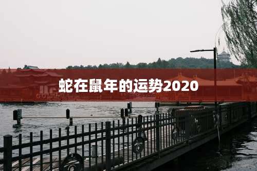 蛇在鼠年的运势2020
