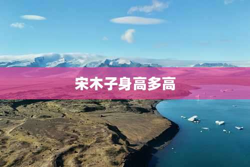 宋木子身高多高