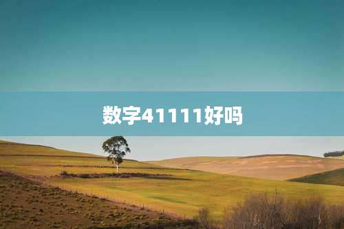 数字41111好吗