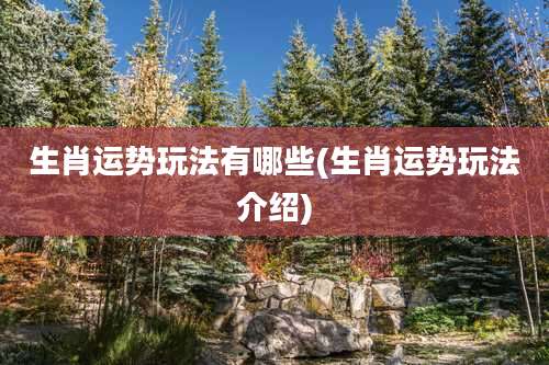 生肖运势玩法有哪些(生肖运势玩法介绍)