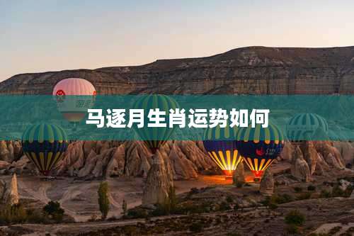 马逐月生肖运势如何