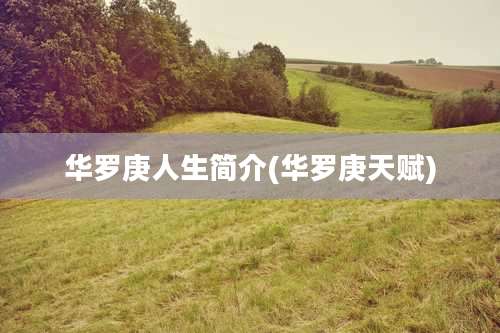 华罗庚人生简介(华罗庚天赋)