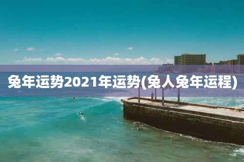 兔年运势2021年运势(兔人兔年运程)