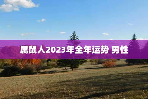 属鼠人2023年全年运势 男性