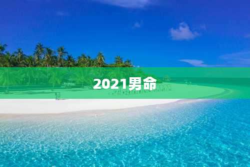 2021男命