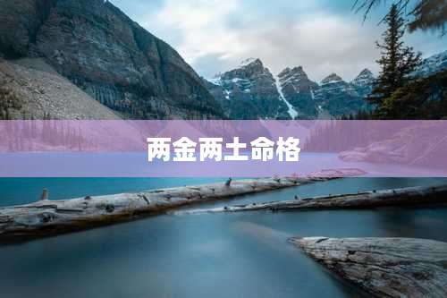 两金两土命格