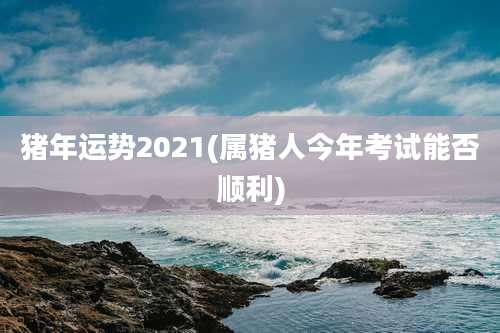 猪年运势2021(属猪人今年考试能否顺利)