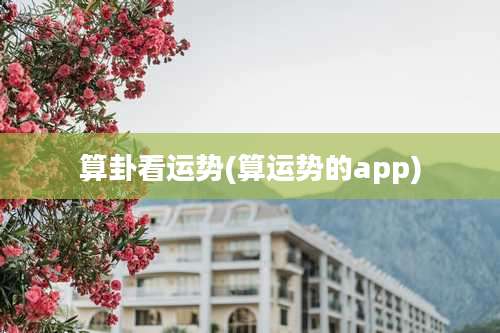 算卦看运势(算运势的app)