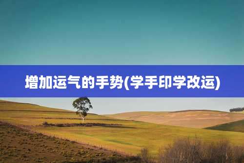 增加运气的手势(学手印学改运)