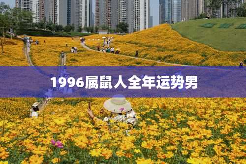 1996属鼠人全年运势男
