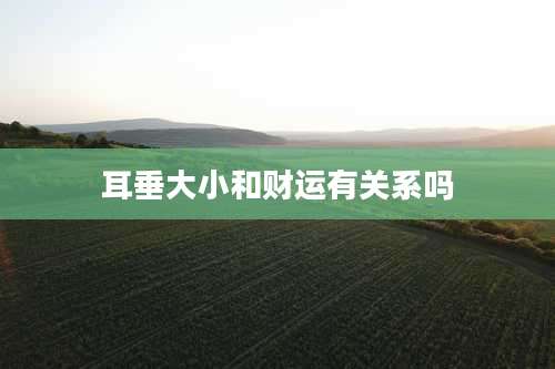 耳垂大小和财运有关系吗