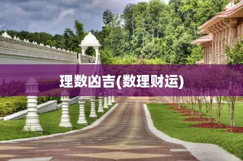 理数凶吉(数理财运)