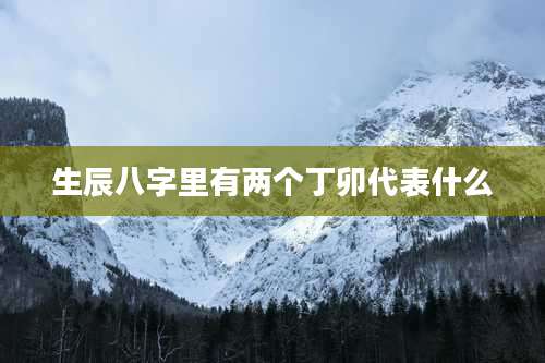 生辰八字里有两个丁卯代表什么
