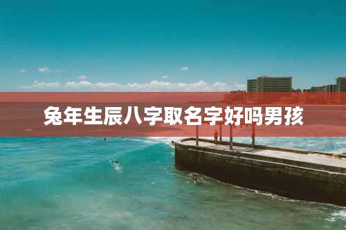 兔年生辰八字取名字好吗男孩