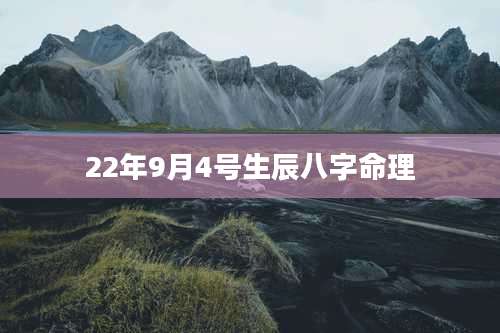 22年9月4号生辰八字命理