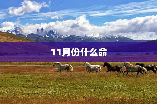 11月份什么命