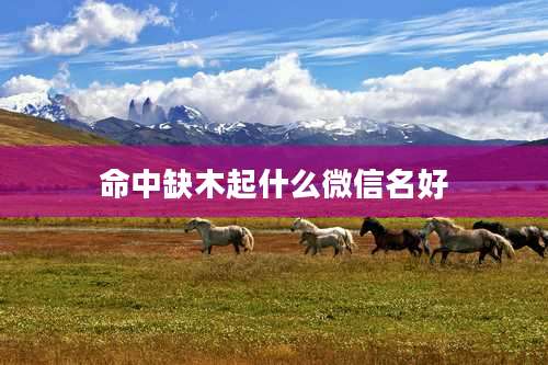 命中缺木起什么微信名好