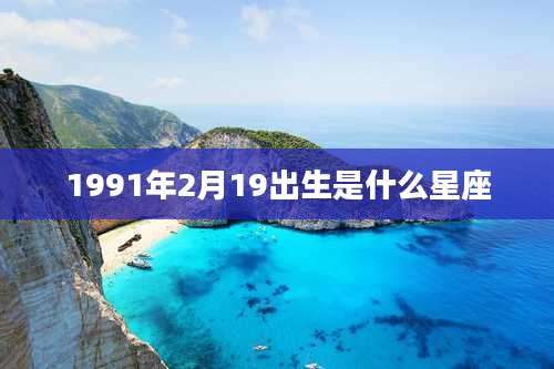 1991年2月19出生是什么星座