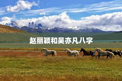 赵丽颖和吴亦凡八字