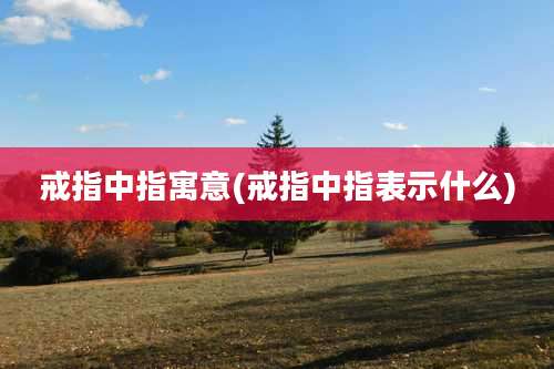 戒指中指寓意(戒指中指表示什么)