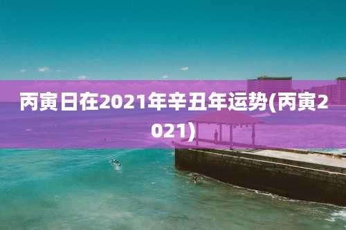 丙寅日在2021年辛丑年运势(丙寅2021)