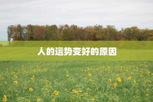 人的运势变好的原因