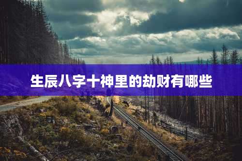生辰八字十神里的劫财有哪些