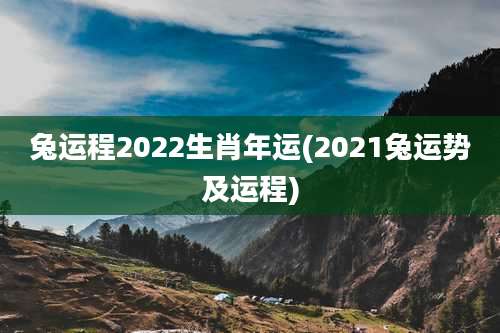 兔运程2022生肖年运(2021兔运势及运程)