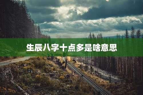 生辰八字十点多是啥意思