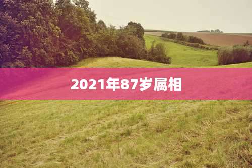 2021年87岁属相