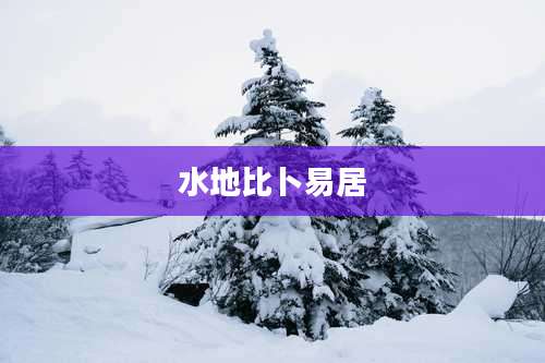 水地比卜易居